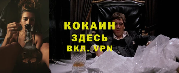 шишки Богородск
